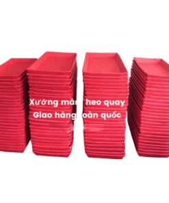 Mâm heo quay đủ size từ 4 đến 10 tấc giá tại xưởng - hinh 03